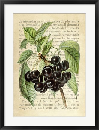 Framed Cherries, After J. Wright Print