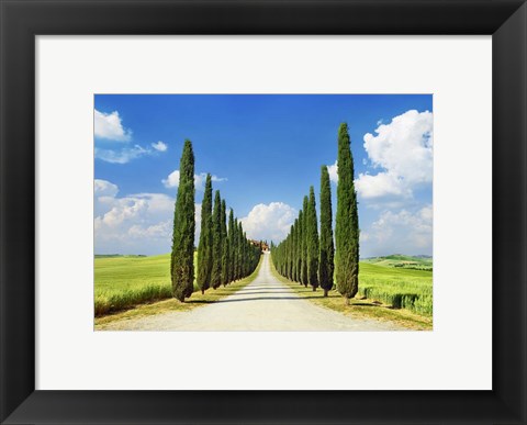 Framed Cypress alley, San Quirico d&#39;Orcia, Tuscany Print