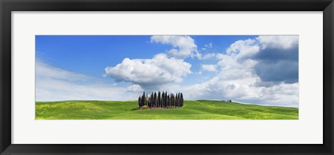 Framed Cypresses, Val d&#39;Orcia, Tuscany Print