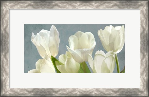 Framed White Tulips on Blue Print