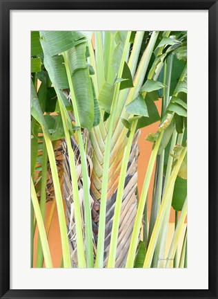 Framed Tropical Dream IV Print