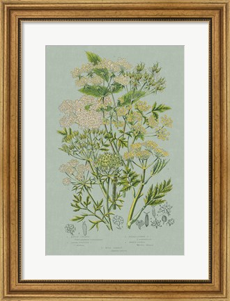 Framed Flowering Plants III Green Linen Print