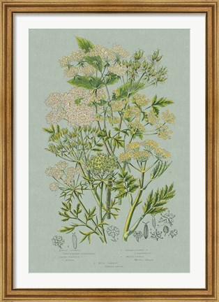 Framed Flowering Plants III Green Linen Print