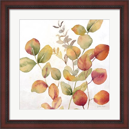 Framed Eucalyptus Leaves Spice I Print