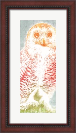 Framed Snowy Owl panel rainbow Print