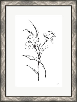 Framed Line Daffodil Print