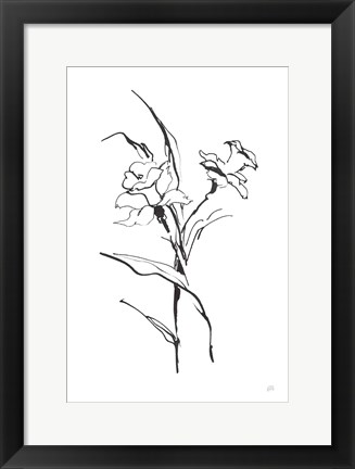 Framed Line Daffodil Print