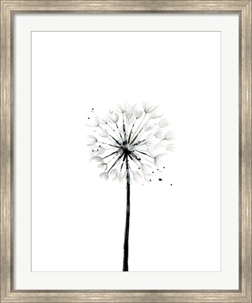 Framed Dandelion Print