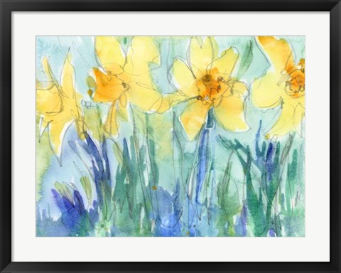 Framed Daffodil Blooms II Print
