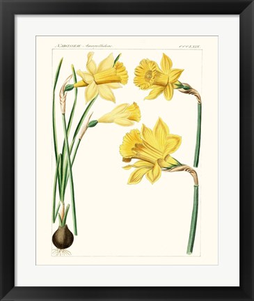 Framed Bright Botanicals I Print