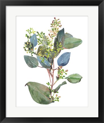 Framed Seeded Eucalyptus I Print