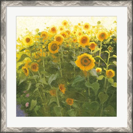 Framed Sunflower Field Print