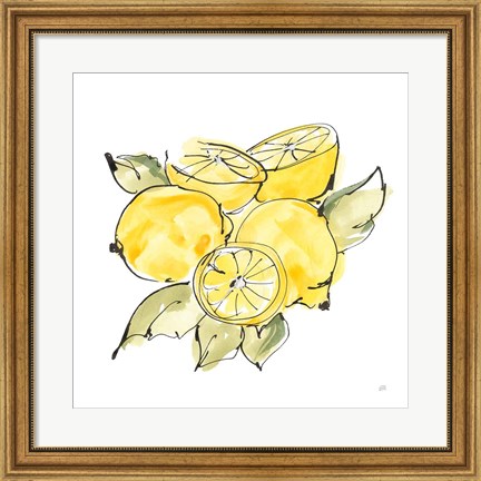 Framed Lemon Still Life IV Print