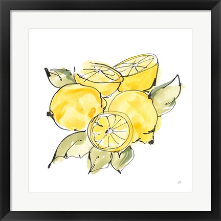 Framed Lemon Still Life IV Print