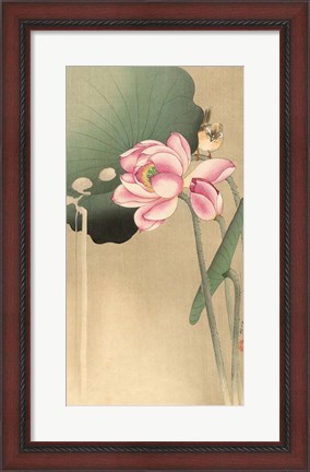 Framed Songbird and Lotus, 1900-1936 Print