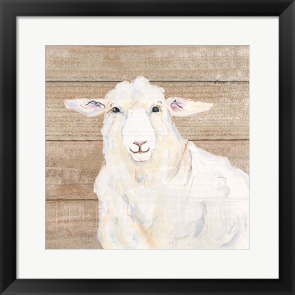 Framed Sheep Print