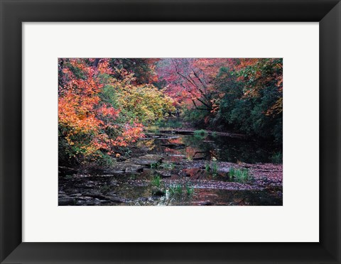 Framed Fall Creek Print
