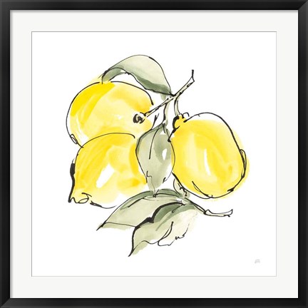 Framed Lemons III Print