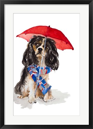 Framed King Charles Spaniel In The Rain Print