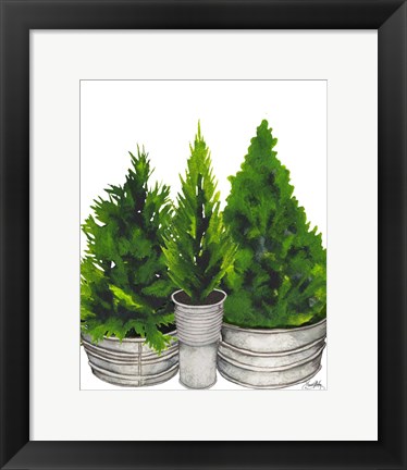 Framed Evergreens in Galvanized Tins Print