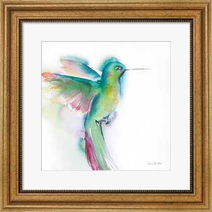 Framed Hummingbirds II Print