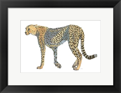 Framed Wild and Free VII Print