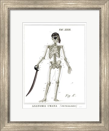 Framed Dandy Bones Pirate Print
