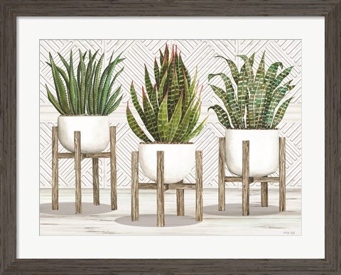 Framed Succulent Trio on Stands Print