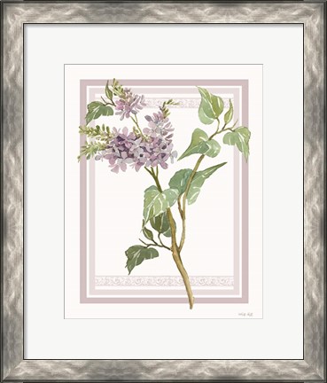 Framed Lilacs V Print
