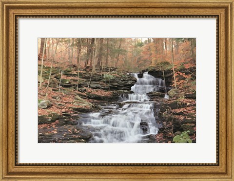 Framed Waterfall Steps at Pigeon Run Print