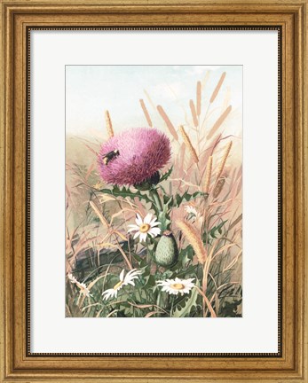 Framed Meadow Flowers 1 Print