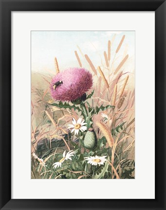 Framed Meadow Flowers 1 Print