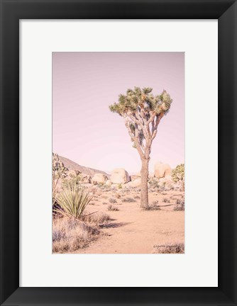 Framed Joshua Tree III Blush Print