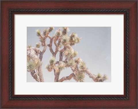 Framed Desert Floral I Print