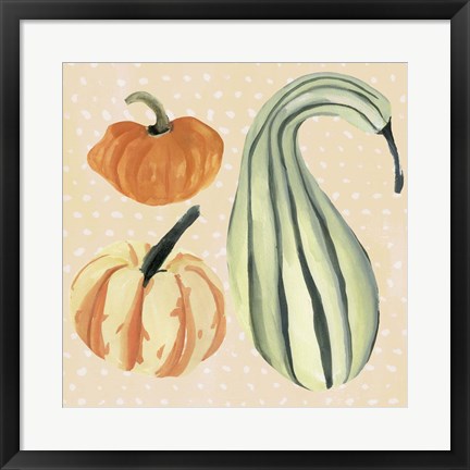 Framed Decorative Gourd III Print