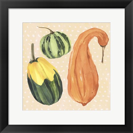 Framed Decorative Gourd IV Print