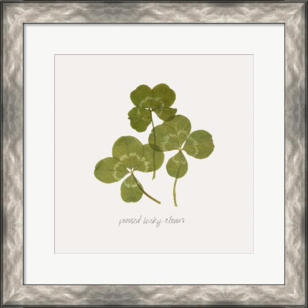 Framed Pressed Clover II Print