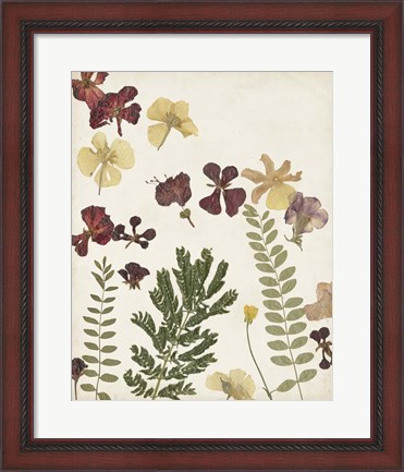 Framed Pressed Flower Arrangement I Print