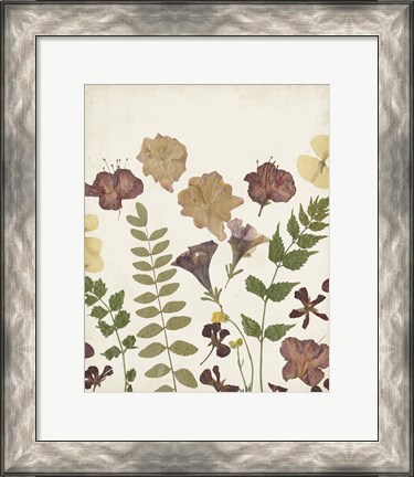 Framed Pressed Flower Arrangement II Print