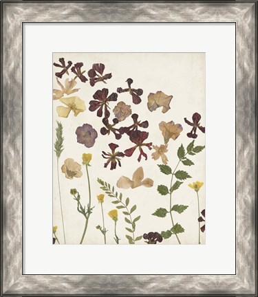 Framed Pressed Flower Arrangement III Print