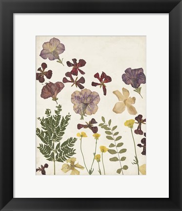Framed Pressed Flower Arrangement IV Print
