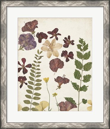Framed Pressed Flower Arrangement VI Print