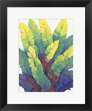 Framed Sunlit Banana Leaves I Print