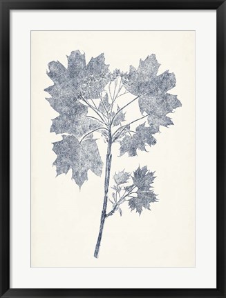 Framed Navy Botanicals I Print