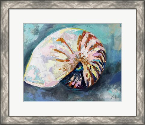 Framed Nautilus Shell Print