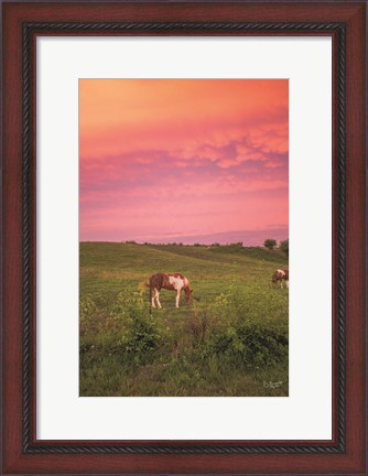 Framed Horse at Sunset Print