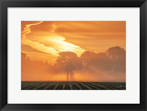 Framed Morning Glory Print