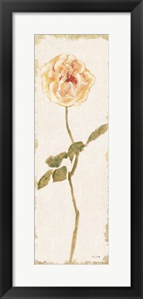 Framed Pale Rose Panel Light Print