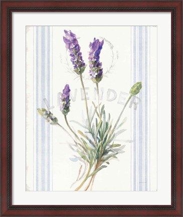 Framed Floursack Lavender III Print