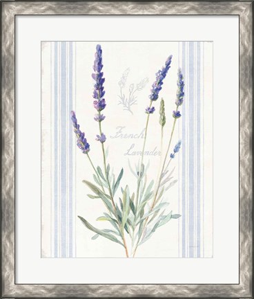 Framed Floursack Lavender I Print